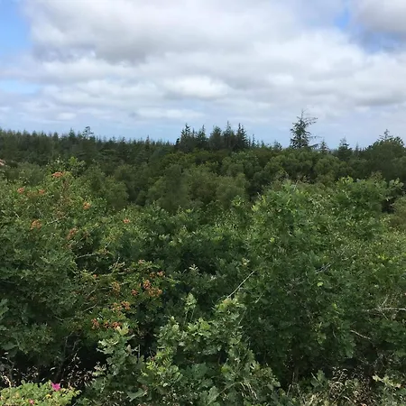 Cozy Log Retreat-by Traum *