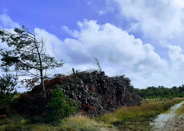 Feriehus Cozy Log Retreat-by Traum Oksbøl