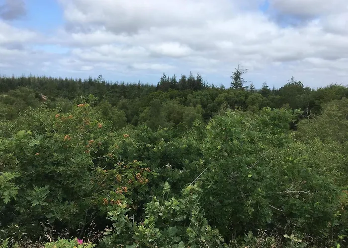 Cozy Log Retreat-by Traum *