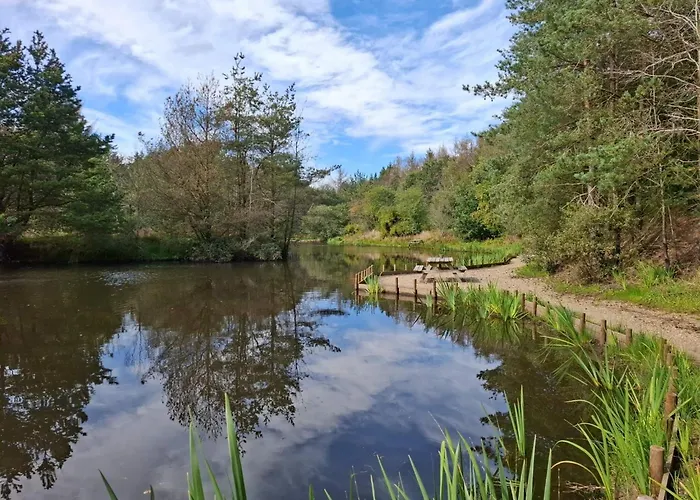Cozy Log Retreat-by Traum * Oksbøl