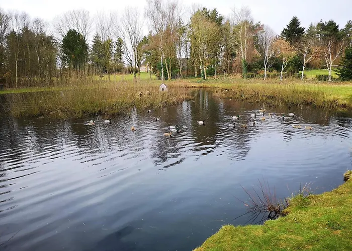 Cozy Log Retreat-by Traum *