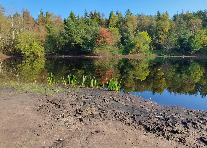 Cozy Log Retreat-by Traum